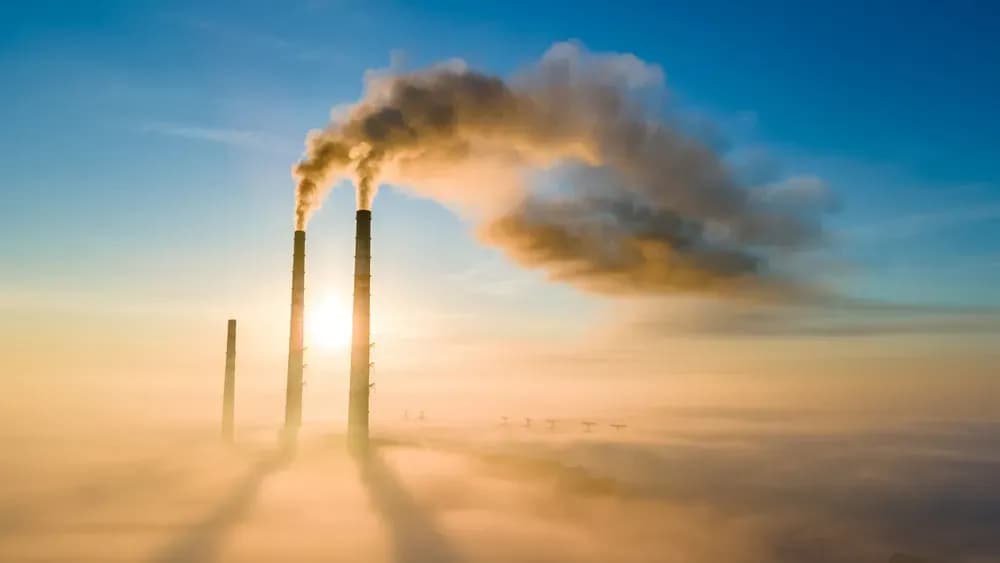 How Much Textile Waste Is There? A Deep Dive into Fashion’s Impact on CO2 and Climate Change